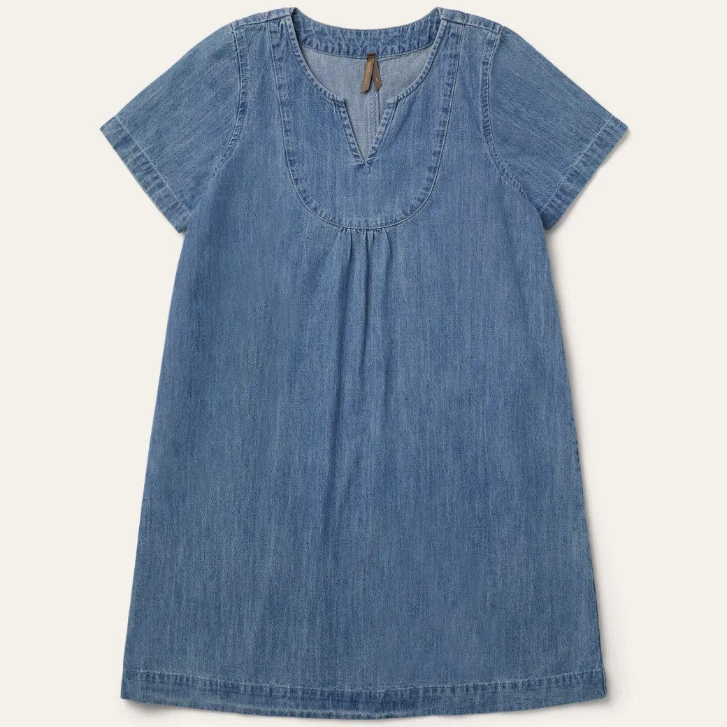 Denim Swing Dress