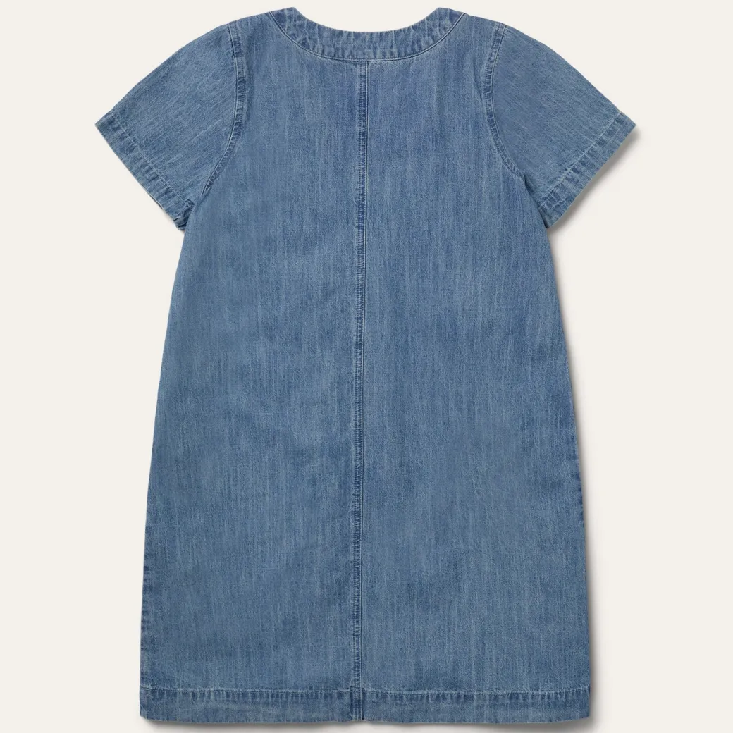 Denim Swing Dress
