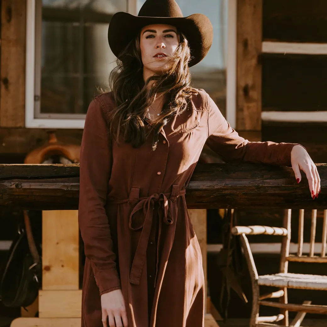 Tobacco Tencel Western Dress